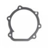 Water Pump Gasket